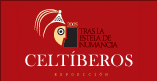 logocelta.jpg (7013 bytes)